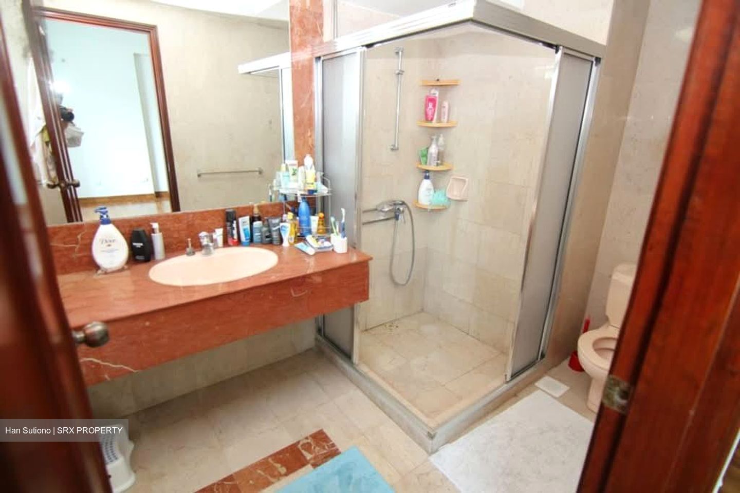 Parkshore (D15), Condominium #552472921